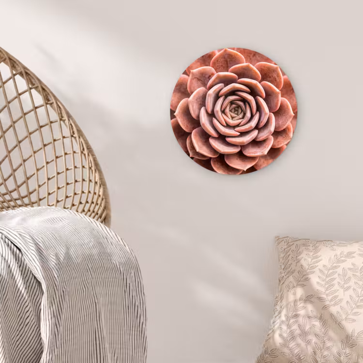 Muurcirkel - Vetplant - Organisch - Roze — 5