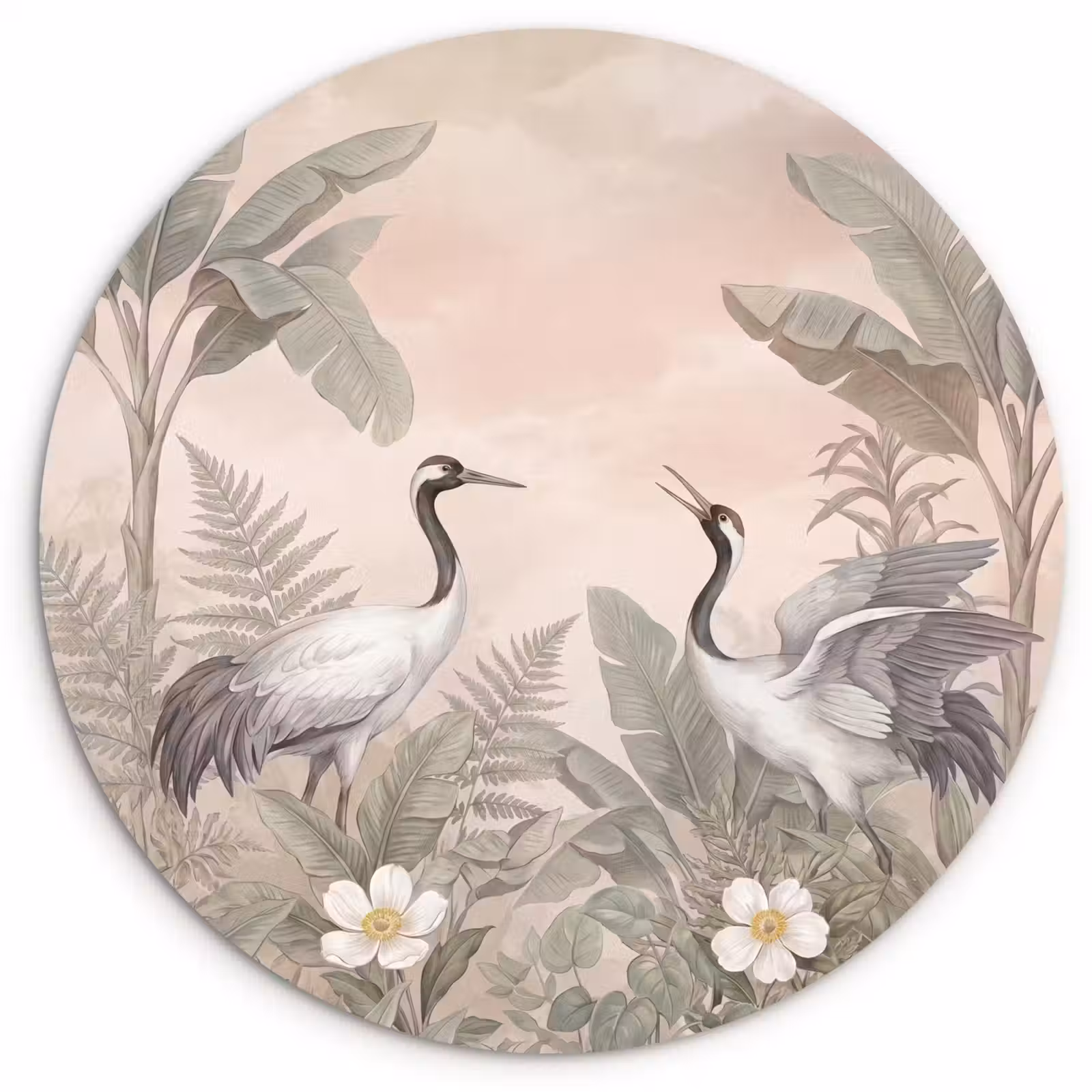 Muurcirkel - Kraanvogels - Natuur - Roze — 1