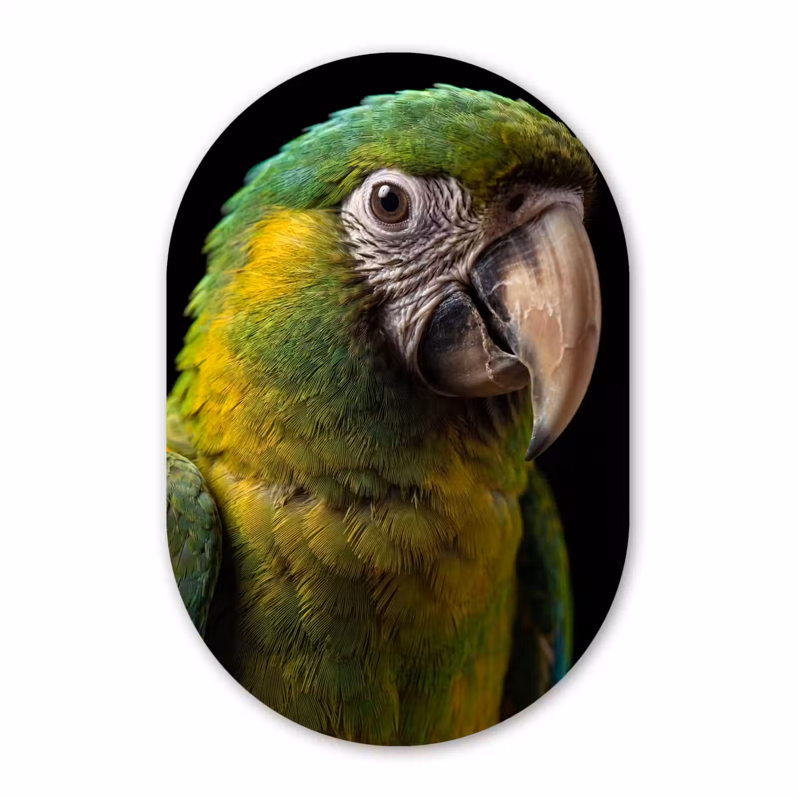 Muurovaal aluminium - Ara - Portret - Groen — 1
