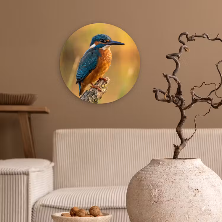 Muurcirkel - IJsvogel - Tak - Water - Kleurrijk - Levendig — 2