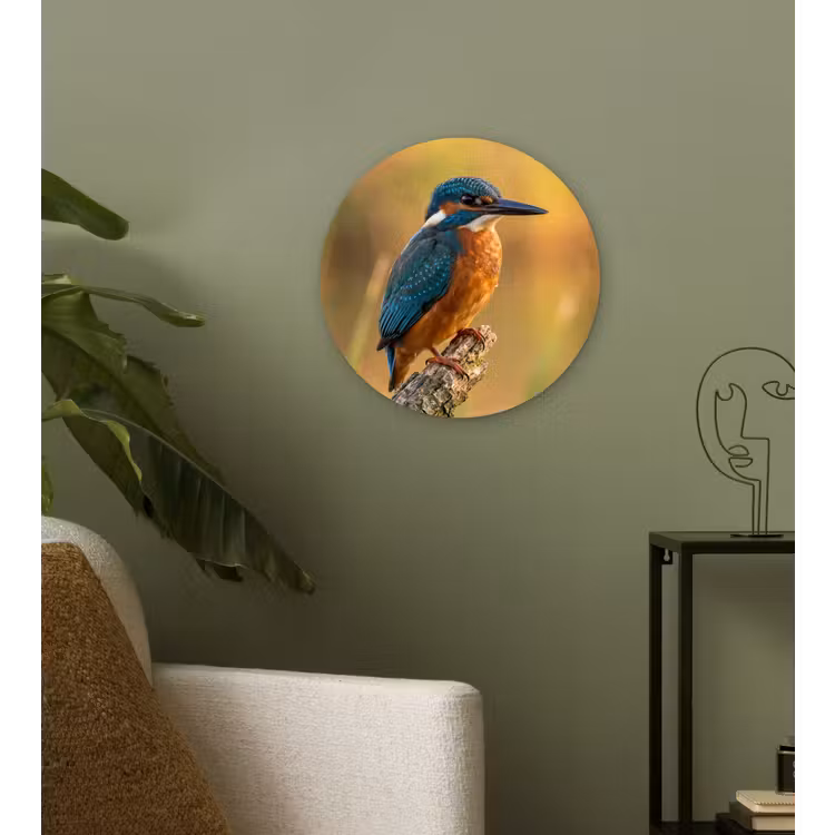 Muurcirkel - IJsvogel - Tak - Water - Kleurrijk - Levendig — 3