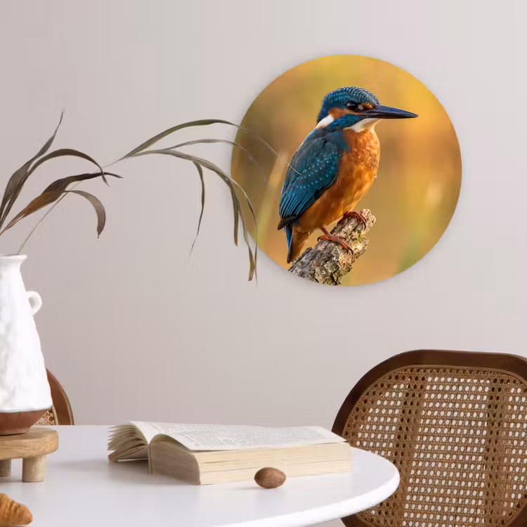 Muurcirkel - IJsvogel - Tak - Water - Kleurrijk - Levendig — 4