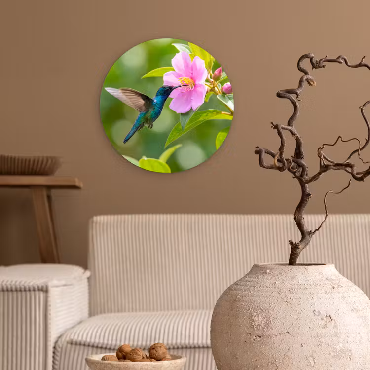Muurcirkel - Kolibrie - Bloem - Natuur - Groen — 2