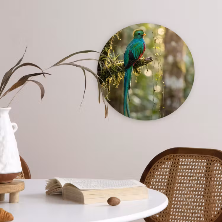 Muurcirkel - Quetzal - Jungle - Natuur - Groen — 4