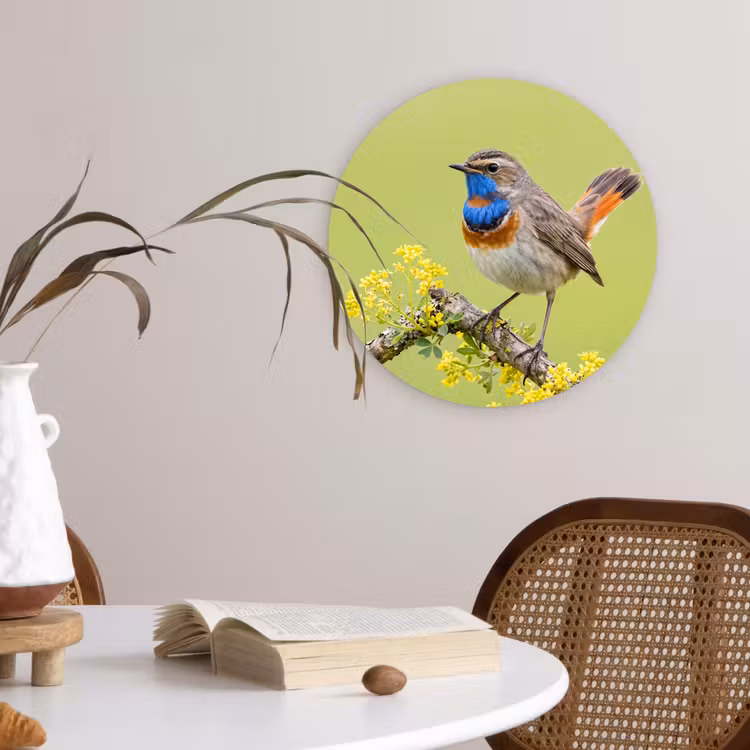 Muurcirkel - Vogel - Tak - Natuur - Kleurrijk — 4