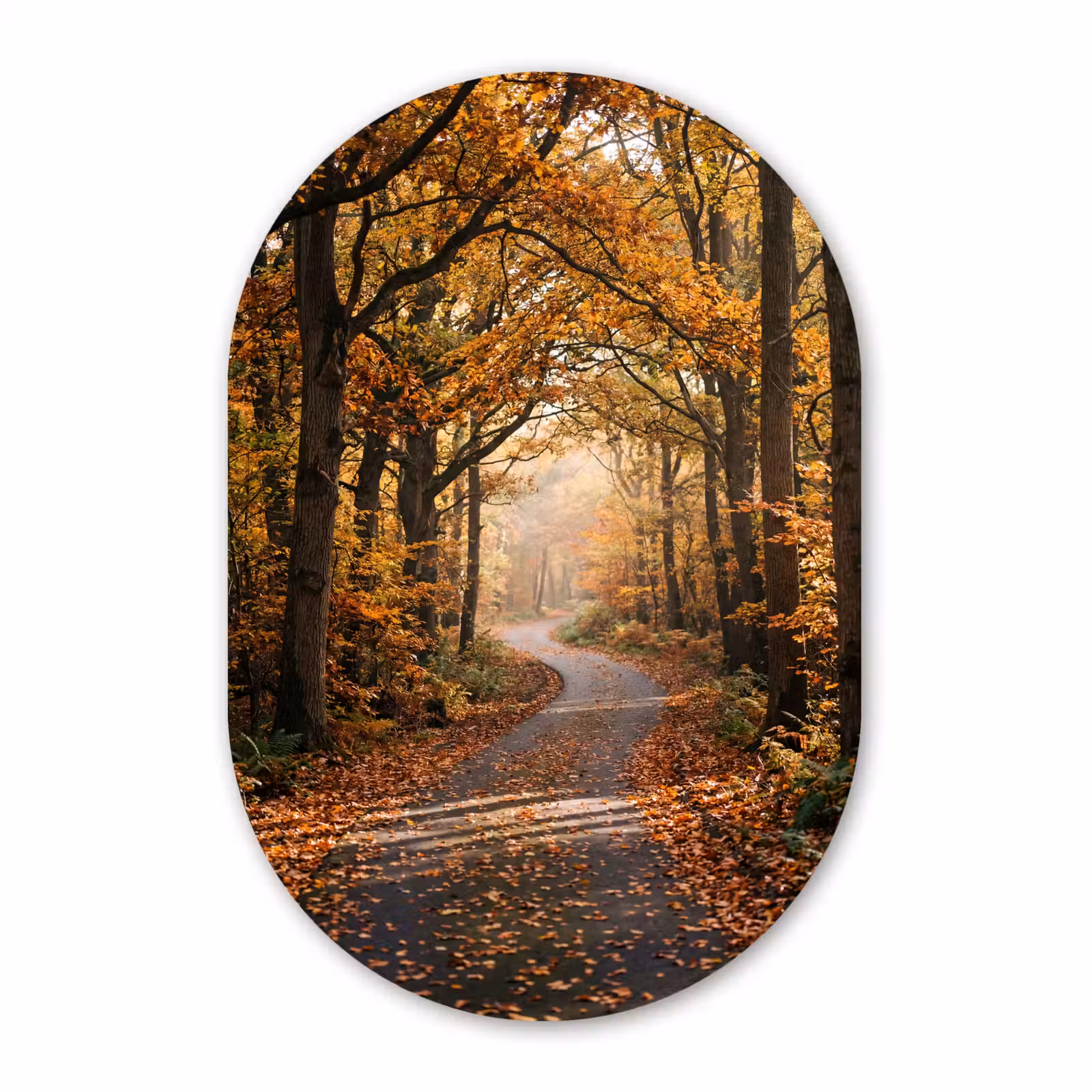 Muurovaal aluminium - Bospad - Herfstbos - Bladeren - Oranje - Nostalgisch — 1