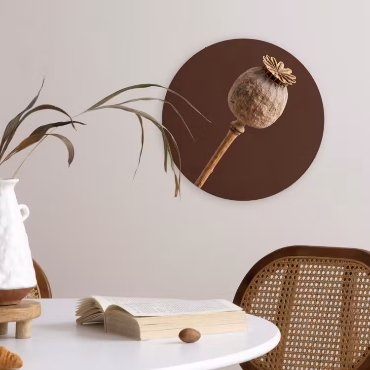 Muurcirkel - Papaverbol - Droogbloem - Bruin - Minimalistisch — 4