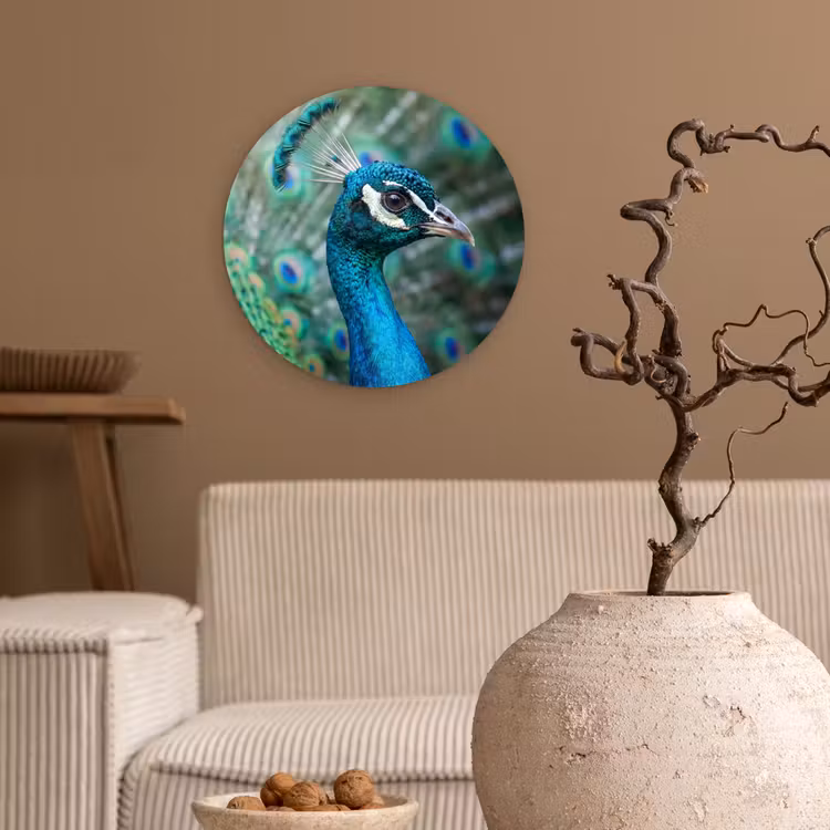 Muurcirkel - Pauw - Veren - Blauw — 2