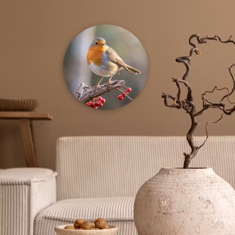 Muurcirkel - Roodborst - Tak - Bessen - Natuur — 2