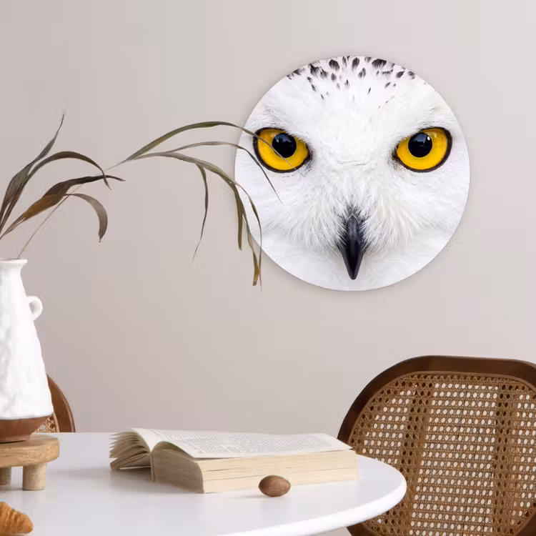 Muurcirkel - Sneeuwuil - Portret - Geel — 4