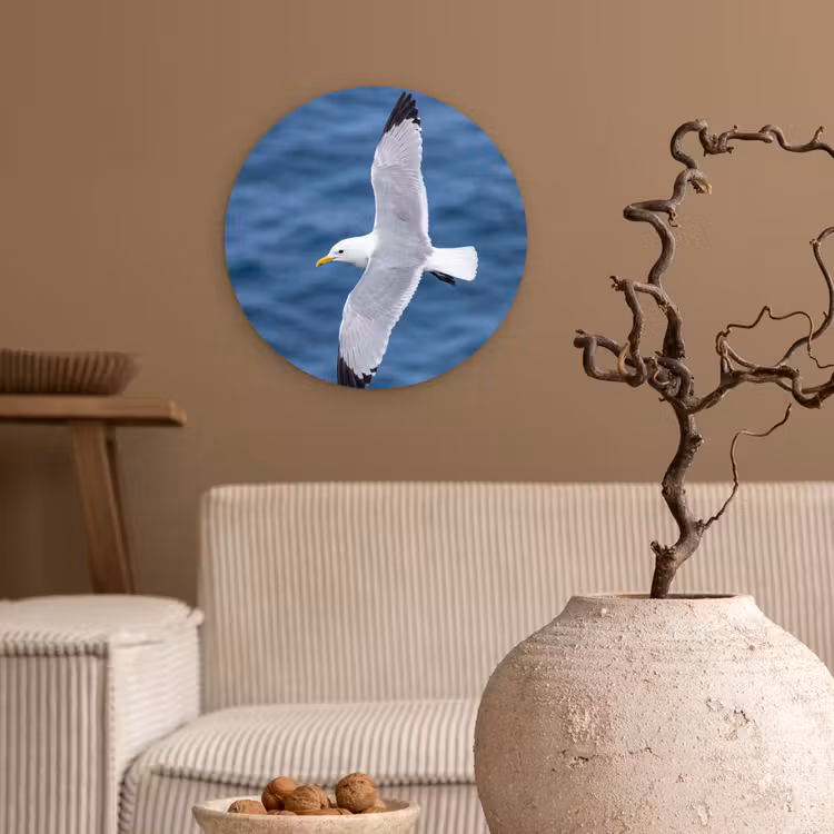 Muurcirkel - Zeemeeuw - Oceaan - Blauw — 2