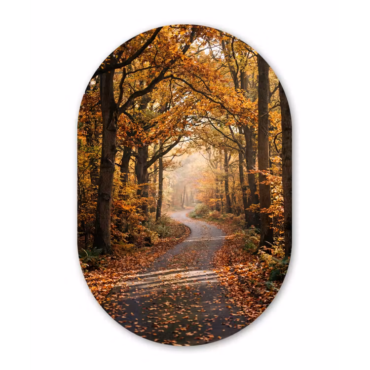 Muurovaal aluminium - Bospad - Herfstbos - Bladeren - Oranje - Nostalgisch — 1