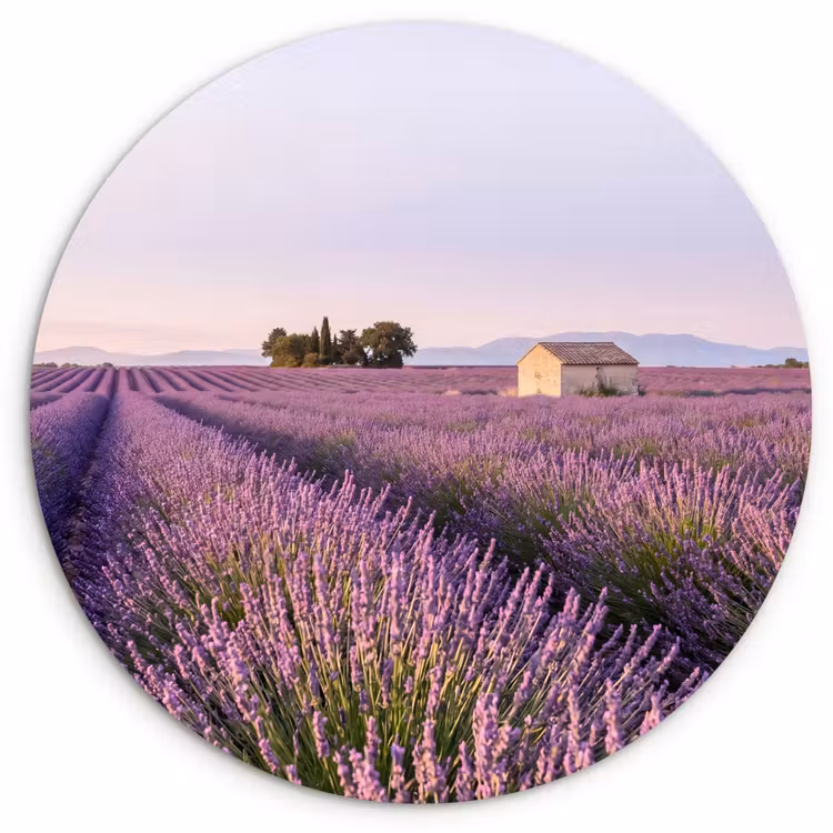 Muurcirkel - Lavendel - Landschap - Sereen - Paars — 1