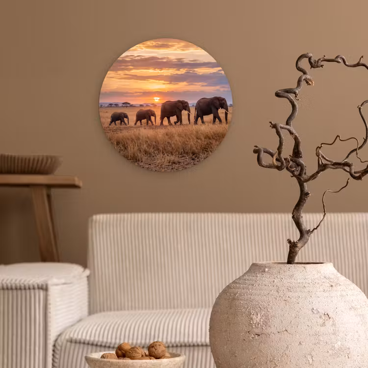 Muurcirkel - Olifanten - Savanne - Zonsondergang - Afrika - Warm — 2
