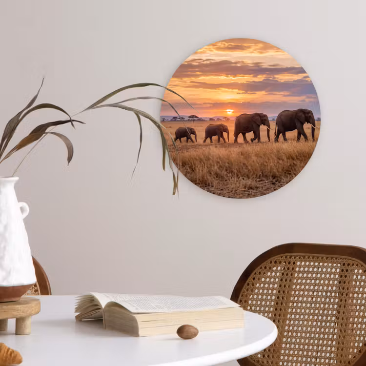 Muurcirkel - Olifanten - Savanne - Zonsondergang - Afrika - Warm — 4