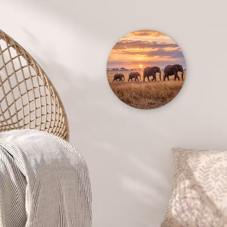 Muurcirkel - Olifanten - Savanne - Zonsondergang - Afrika - Warm — 5