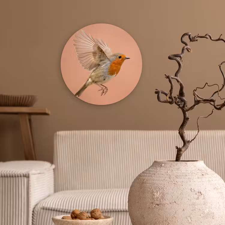 Muurcirkel - Roodborst - Natuur - Roze — 2