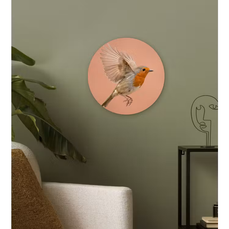 Muurcirkel - Roodborst - Natuur - Roze — 3