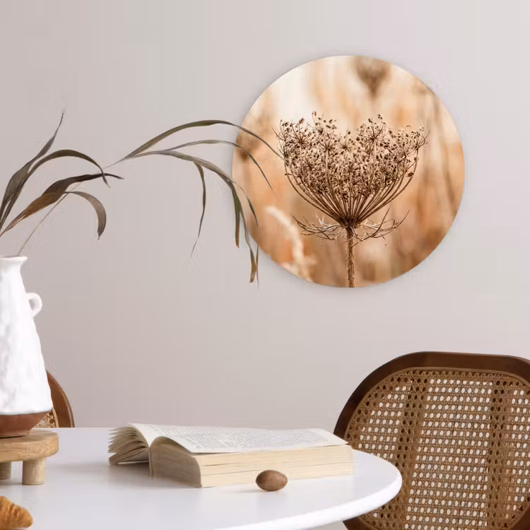 Muurcirkel - Schermbloem - Droogbloem - Winter - Beige - Minimalistisch — 4