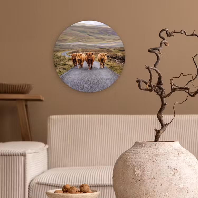 Muurcirkel - Schotse Hooglanders - Weg - Landschap - Kudde — 2