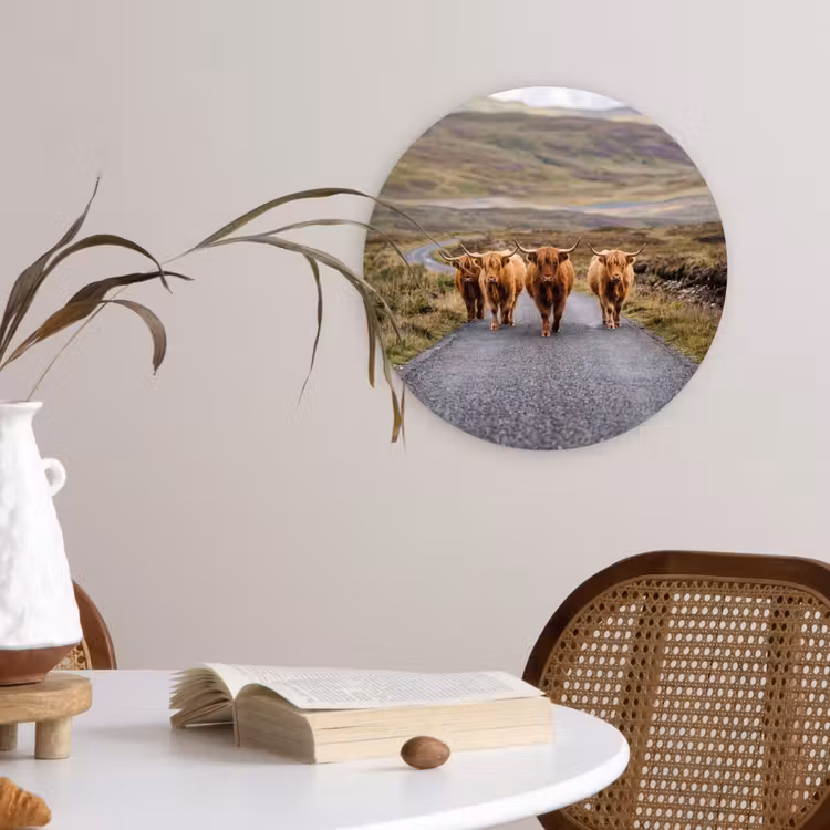 Muurcirkel - Schotse Hooglanders - Weg - Landschap - Kudde — 4