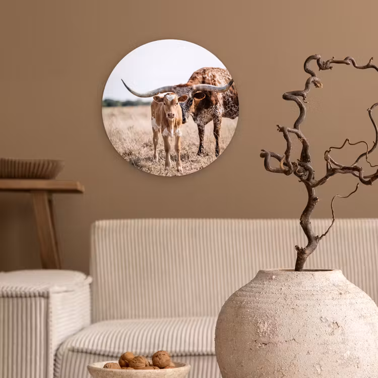 Muurcirkel - Texas Longhorn - Kalf - Weide - Dieren — 2