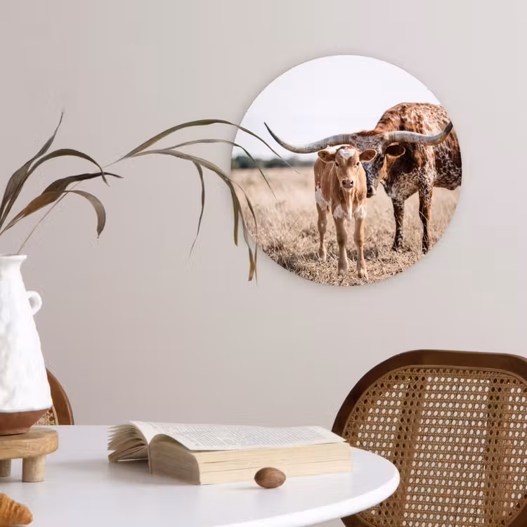Muurcirkel - Texas Longhorn - Kalf - Weide - Dieren — 4
