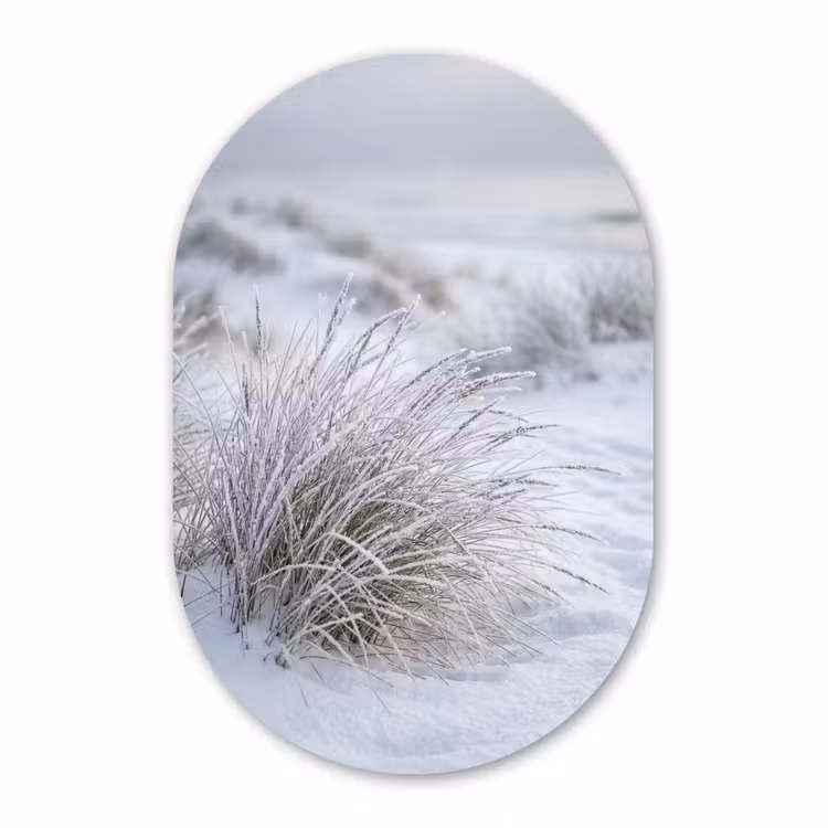 Muurovaal aluminium - Duinen - Sneeuw - Strand - Winter - Serene — 1