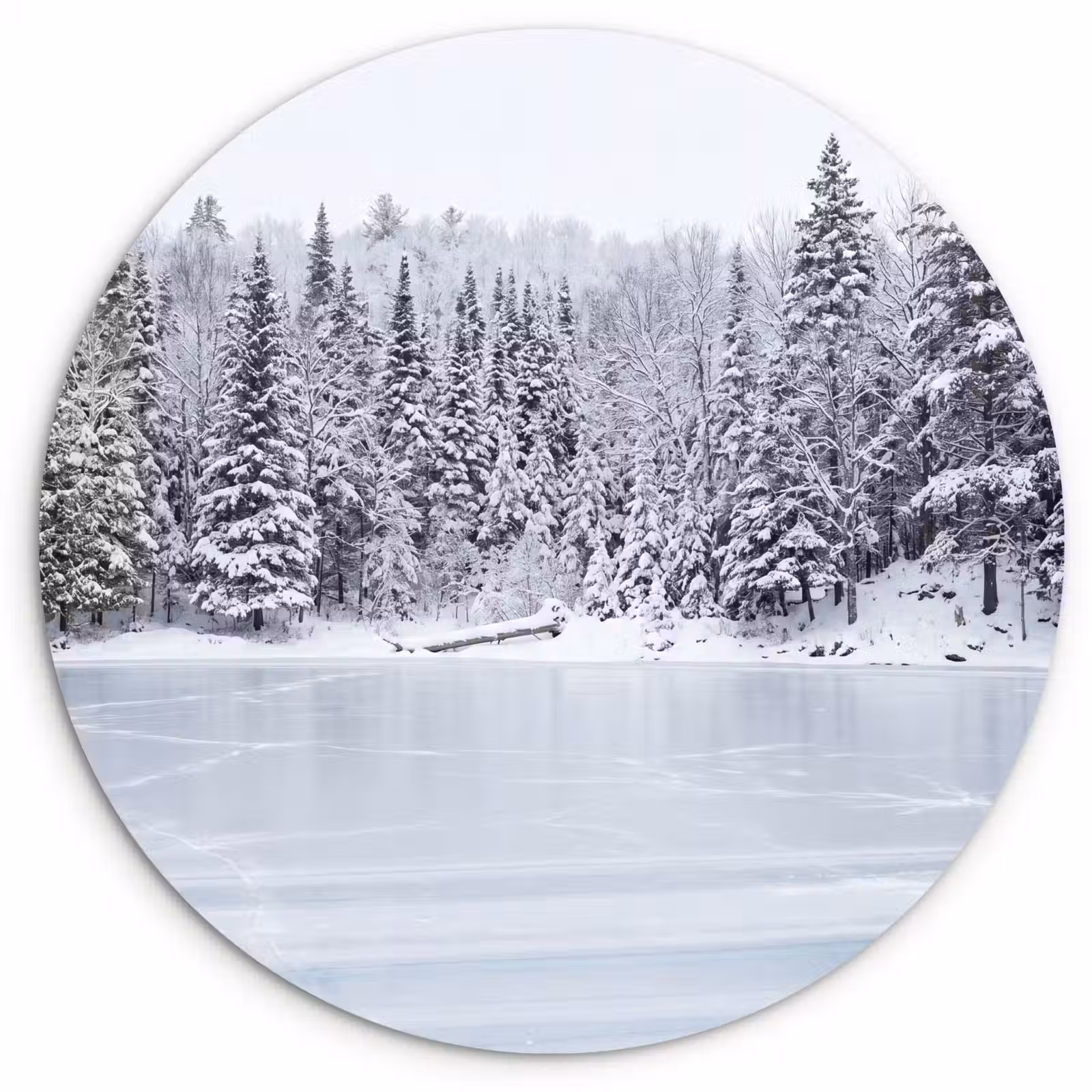 Muurcirkel - Meer - Dennen - IJs - Winter - Rustgevend — 1