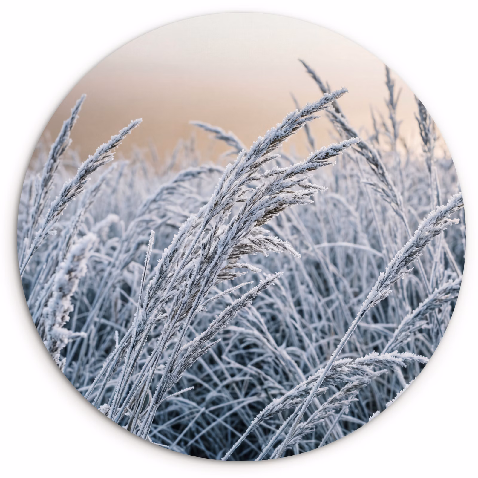 Muurcirkel - Rijp - Gras - Kristallen - Winter - Minimalistisch — 1