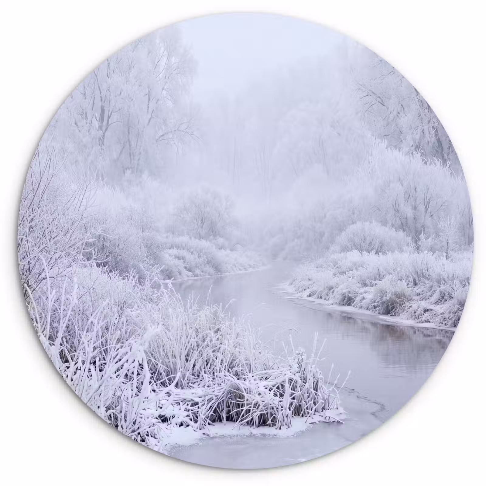 Muurcirkel - Rivier - Sneeuw - Bos - Winter - Schilderachtig — 1