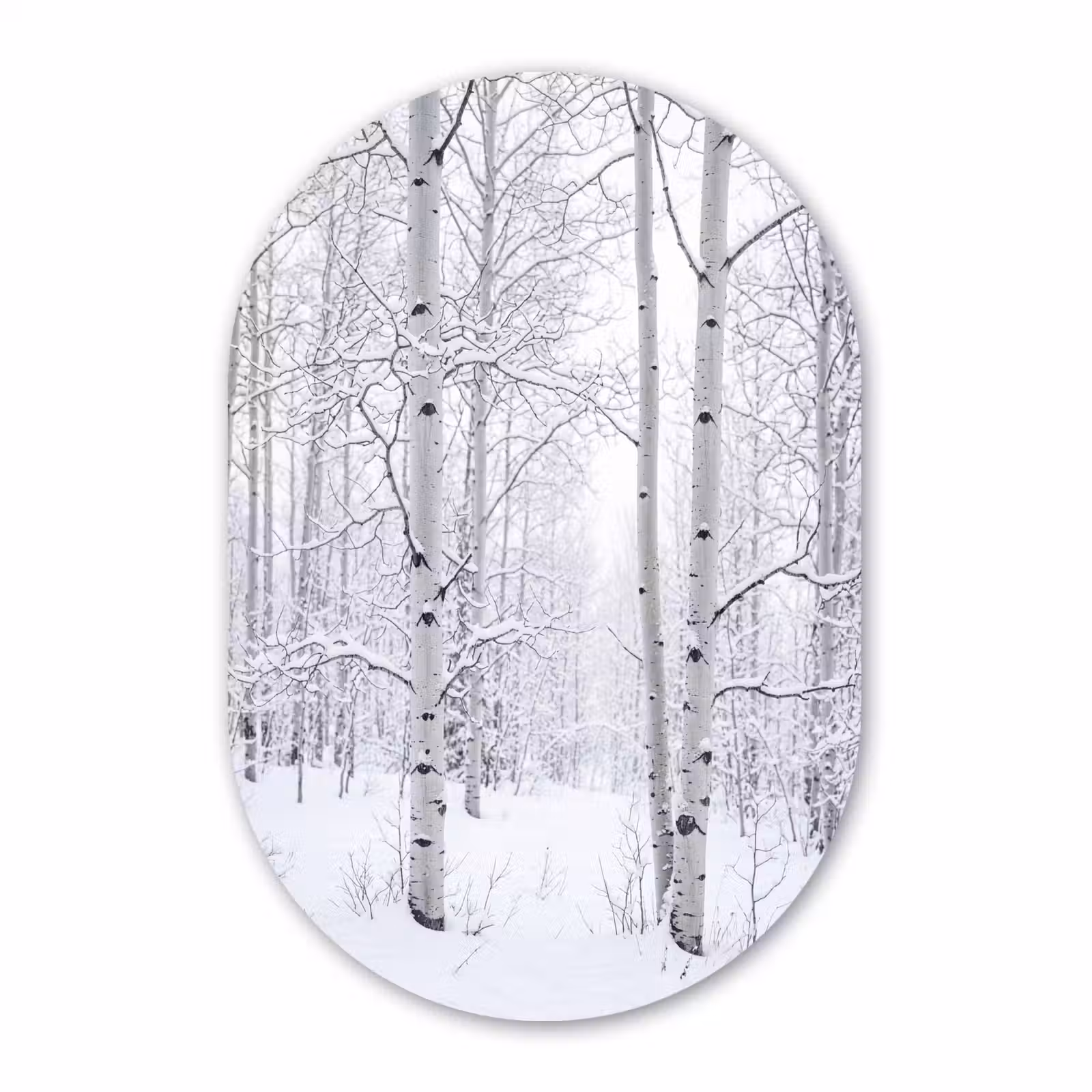 Muurovaal aluminium - Berkenbomen - Sneeuw - Winter - Bos - Wit — 1