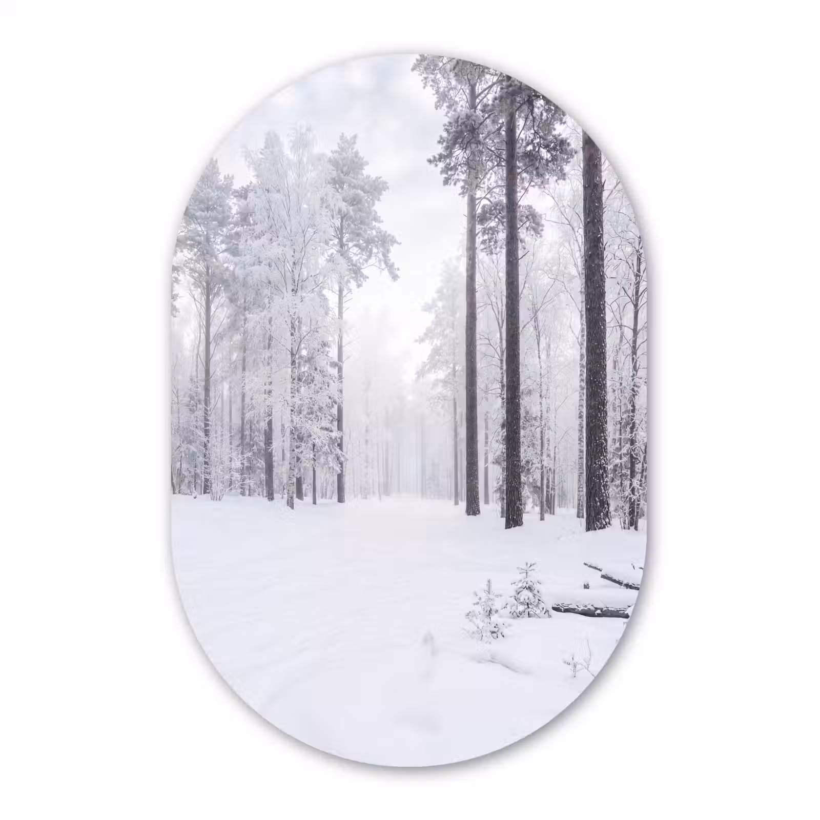 Muurovaal aluminium - Bos - Sneeuw - Pad - Winter - Stilte — 1