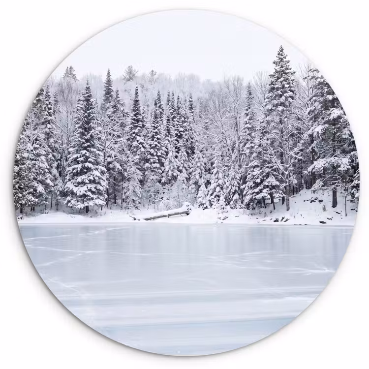 Muurcirkel - Meer - Dennen - IJs - Winter - Rustgevend — 1