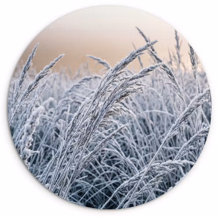 Muurcirkel - Rijp - Gras - Kristallen - Winter - Minimalistisch — 1