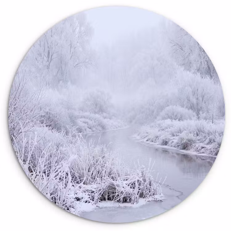 Muurcirkel - Rivier - Sneeuw - Bos - Winter - Schilderachtig — 1