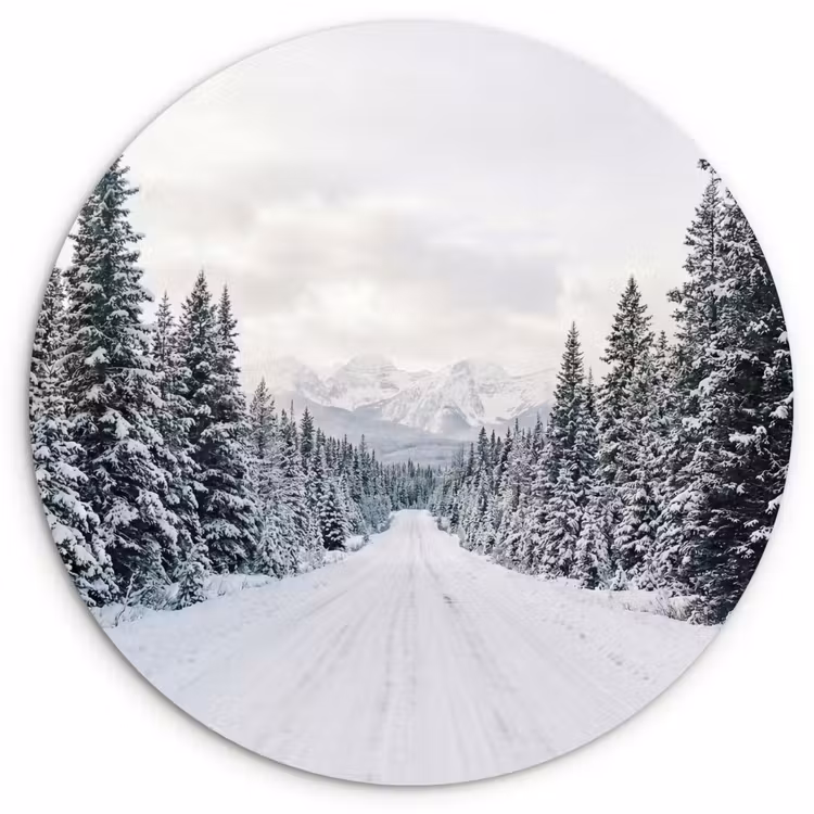 Muurcirkel - Weg - Sneeuw - Naaldbos - Winter - Avontuurlijk — 1