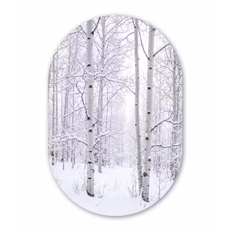 Muurovaal aluminium - Berkenbomen - Sneeuw - Winter - Bos - Wit — 1