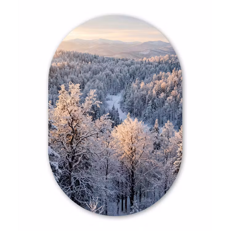 Muurovaal aluminium - Bos - Bergen - Goud - Winter - Warm — 1