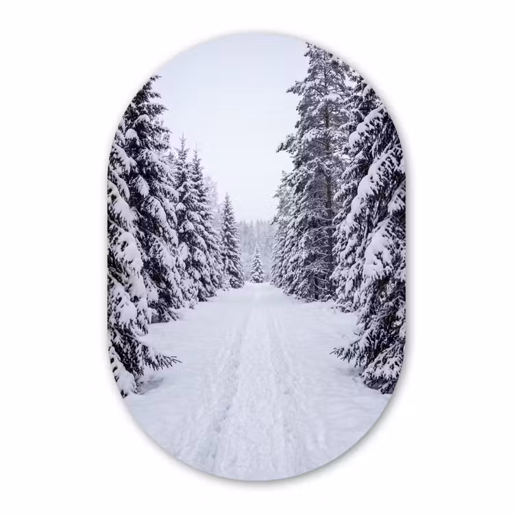 Muurovaal aluminium - Bos - Winter - Sneeuw - Pad - Natuur — 1