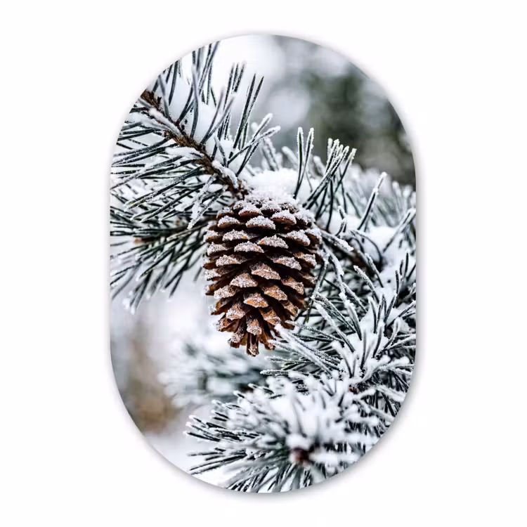 Muurovaal aluminium - Dennenappel - Tak - Sneeuw - Winter - Sfeervol — 1