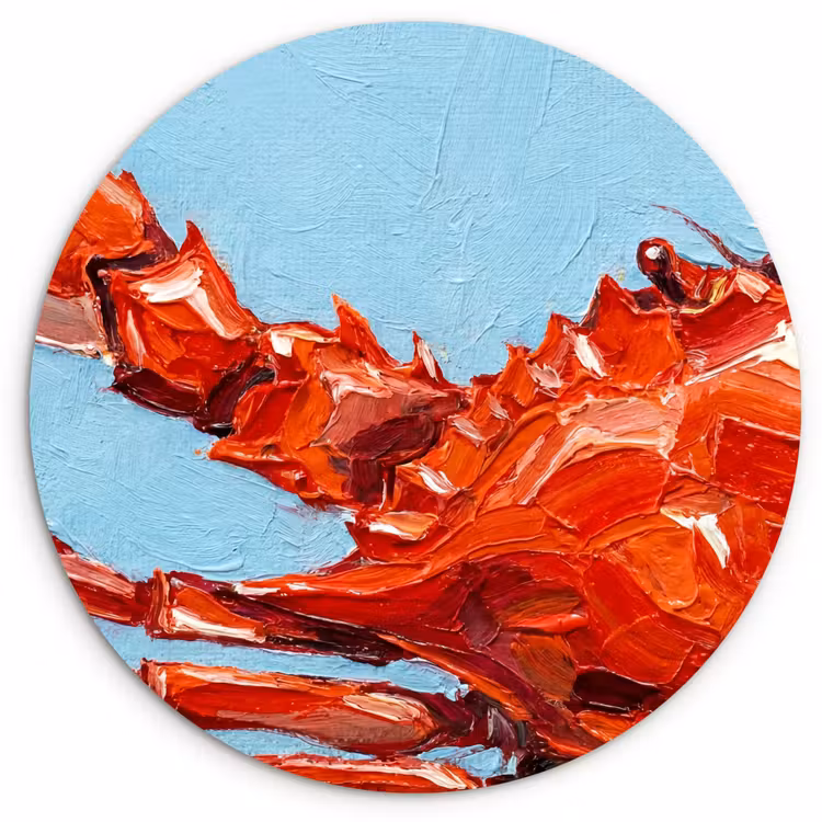 Muurcirkel - Krab - Zee - Dieren - Abstract - Rood — 1
