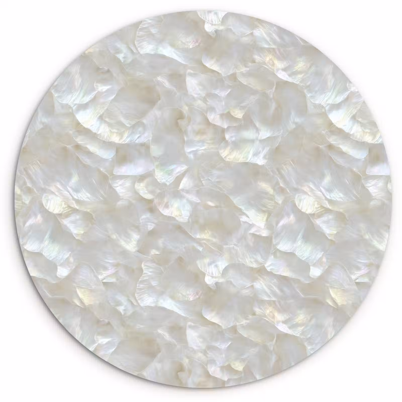 Muurcirkel - Parelmoerglans - Wit - Schelp — 1