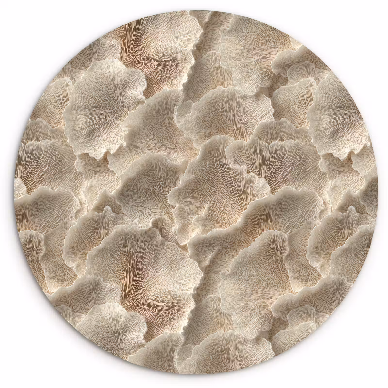Muurcirkel - Waaierstructuren - Beige - Vezeltextuur — 1