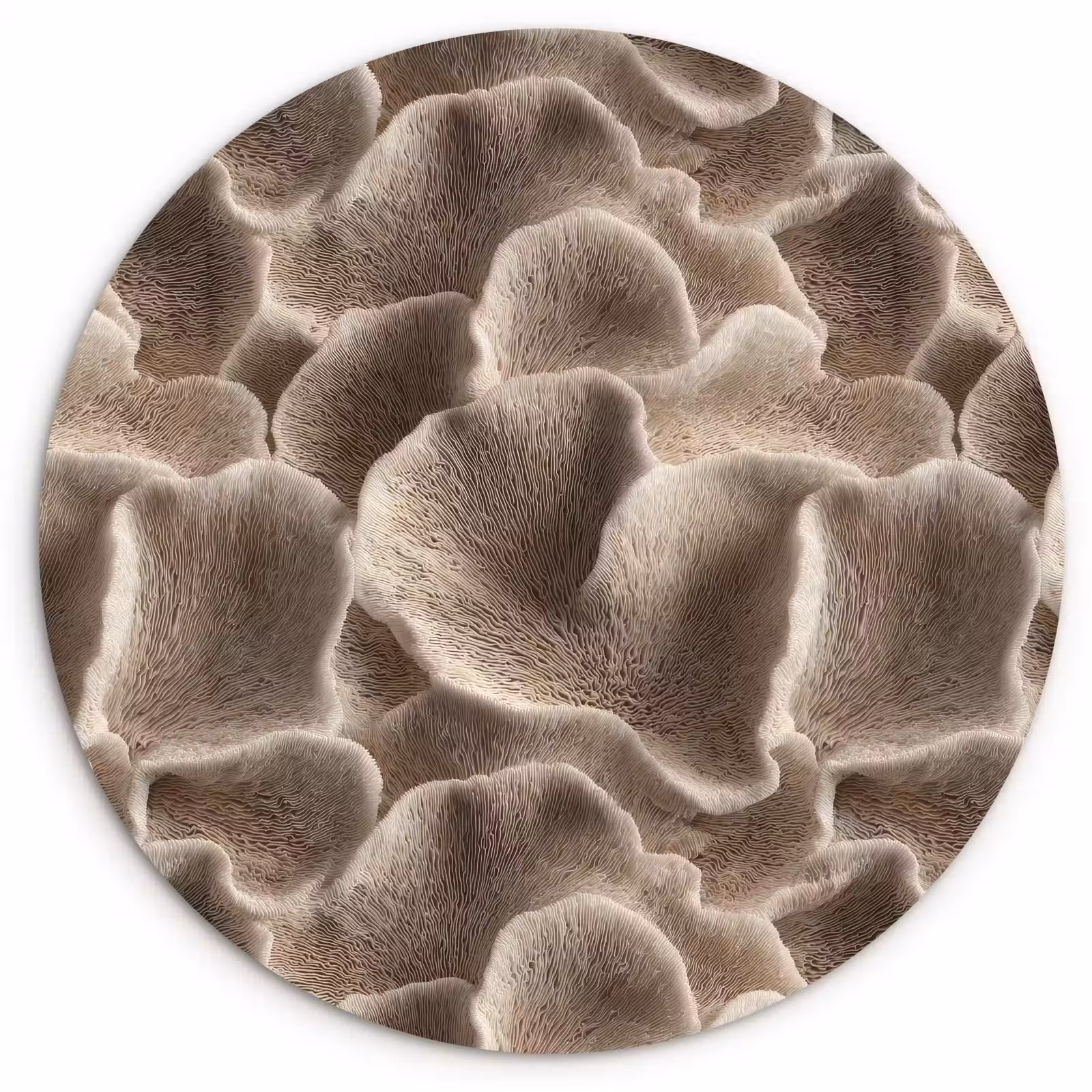 Muurcirkel - Waaiervorm - Beige - Vezel textuur — 1