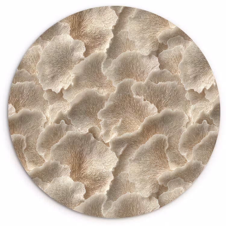 Muurcirkel - Waaierstructuren - Beige - Vezeltextuur — 1