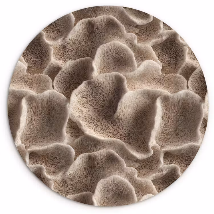 Muurcirkel - Waaiervorm - Beige - Vezel textuur — 1