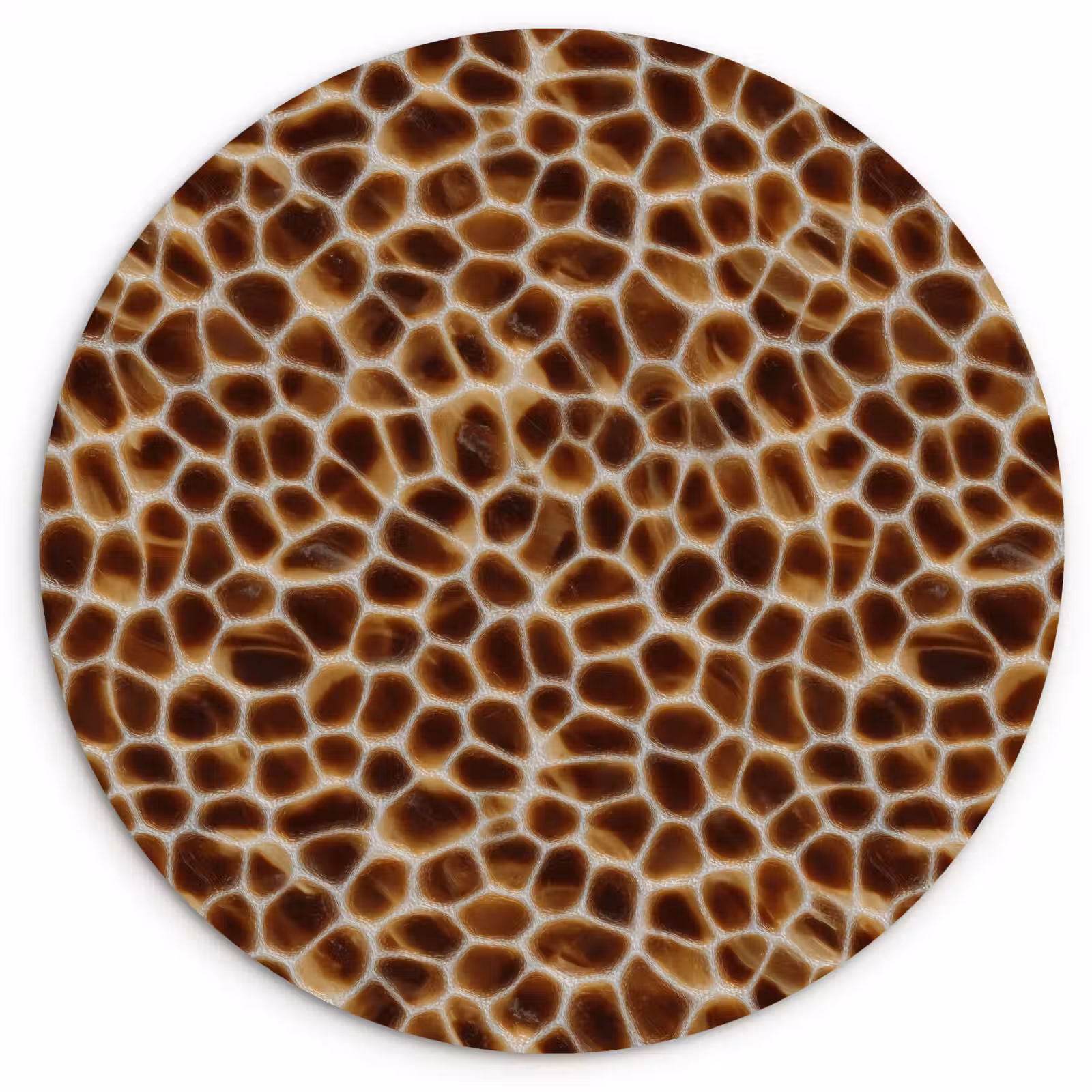 Muurcirkel - Schildpad - Bruin - Patroon — 1