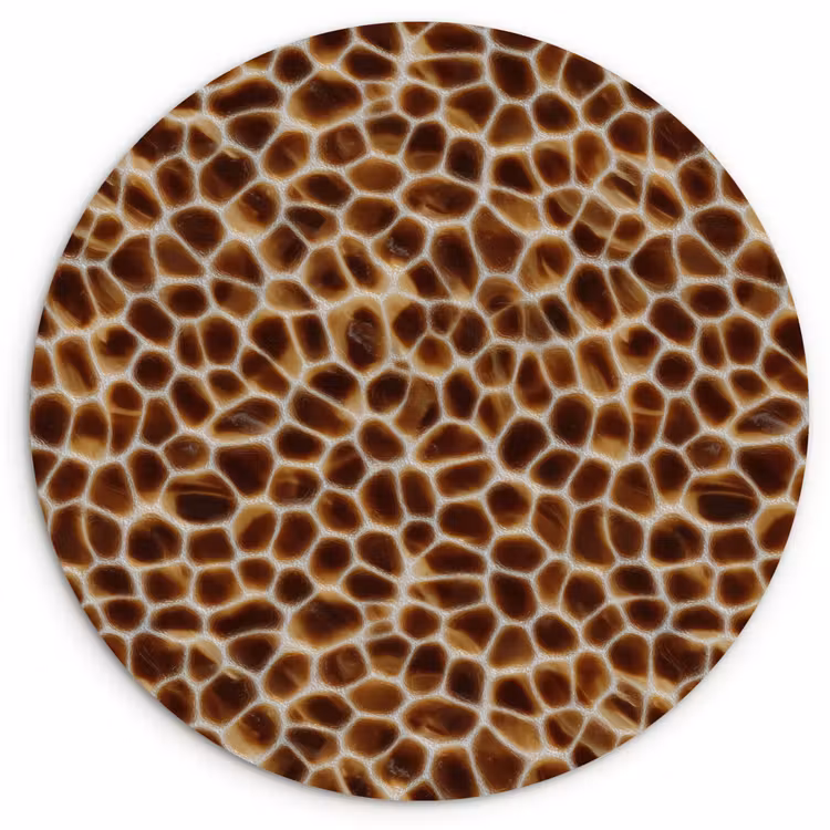 Muurcirkel - Schildpad - Bruin - Patroon — 1