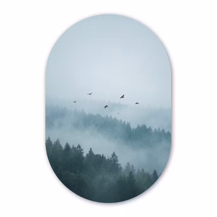 Muurovaal aluminium - Bos - Mist - Vogels - Natuur - Groen — 1